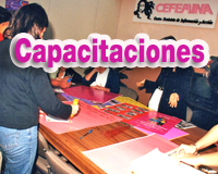 Capacitaciones